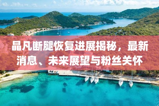 晶凡斷腿恢復(fù)進(jìn)展揭秘，最新消息、未來(lái)展望與粉絲關(guān)懷