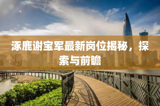 涿鹿謝寶軍最新崗位揭秘，探索與前瞻