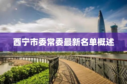 西寧市委常委最新名單概述