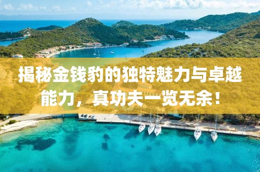 揭秘金錢豹的獨特魅力與卓越能力，真功夫一覽無余！