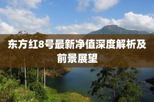 東方紅8號(hào)最新凈值深度解析及前景展望