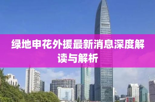 綠地申花外援最新消息深度解讀與解析