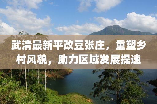 武清最新平改豆張莊，重塑鄉(xiāng)村風(fēng)貌，助力區(qū)域發(fā)展提速