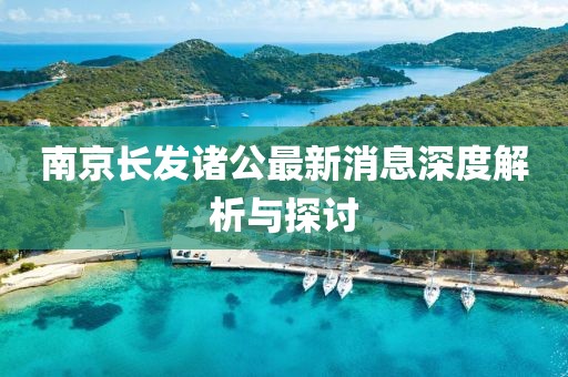 南京長(zhǎng)發(fā)諸公最新消息深度解析與探討