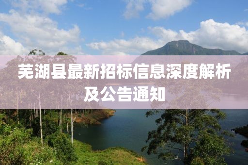 蕪湖縣最新招標(biāo)信息深度解析及公告通知