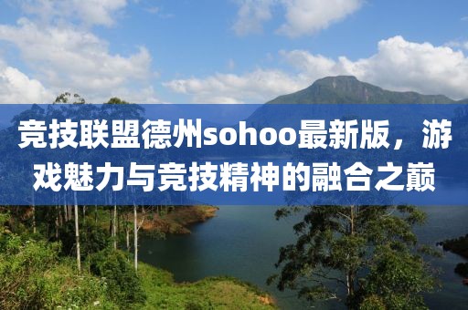 競(jìng)技聯(lián)盟德州sohoo最新版，游戲魅力與競(jìng)技精神的融合之巔