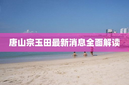 唐山宗玉田最新消息全面解讀