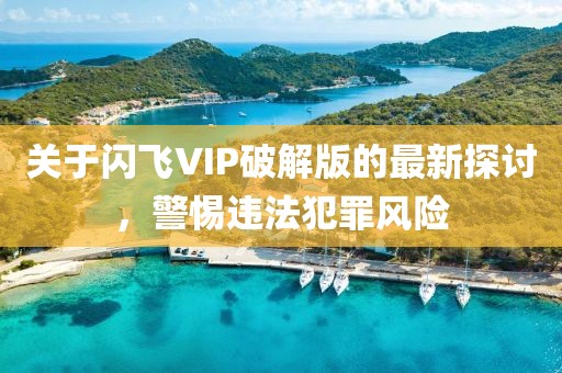 關(guān)于閃飛VIP破解版的最新探討，警惕違法犯罪風險