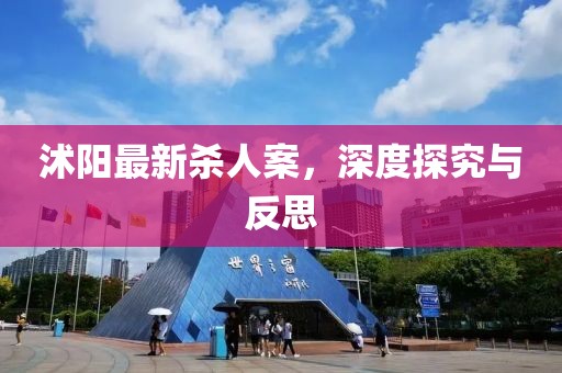 沭陽最新殺人案，深度探究與反思