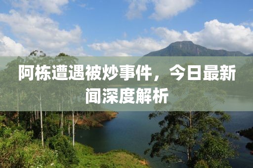 阿棟遭遇被炒事件，今日最新聞深度解析