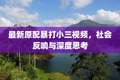 最新原配暴打小三視頻，社會(huì)反響與深度思考