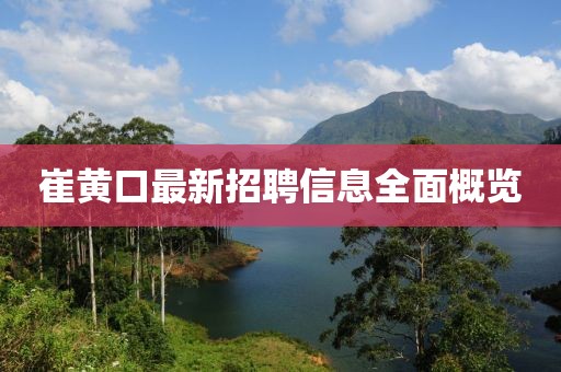 崔黃口最新招聘信息全面概覽
