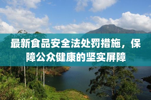 最新食品安全法處罰措施，保障公眾健康的堅實屏障