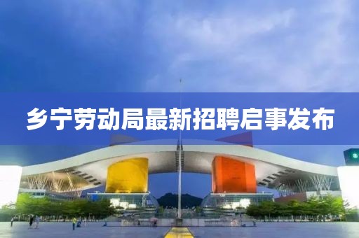 鄉(xiāng)寧勞動局最新招聘啟事發(fā)布