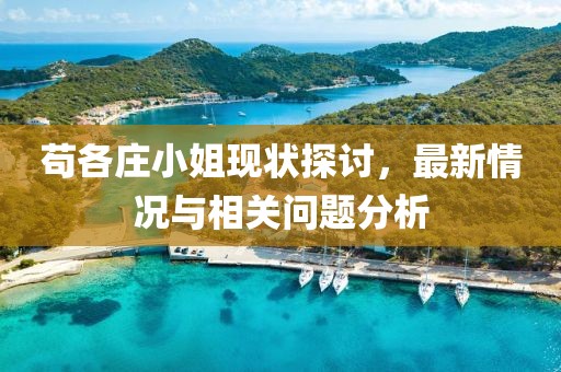 茍各莊小姐現(xiàn)狀探討，最新情況與相關(guān)問題分析