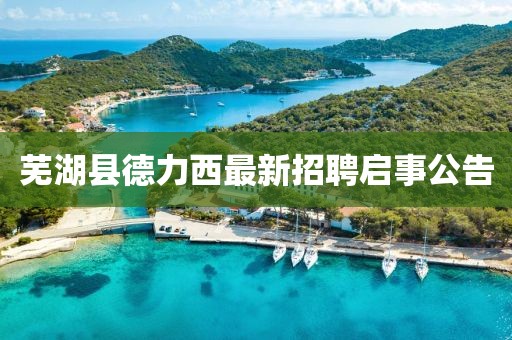 蕪湖縣德力西最新招聘啟事公告