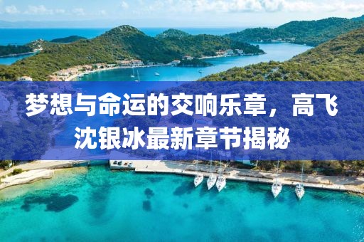 夢想與命運的交響樂章，高飛沈銀冰最新章節(jié)揭秘