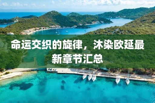 命運交織的旋律，沐染歐延最新章節(jié)匯總