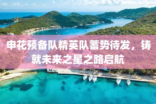申花預(yù)備隊精英隊蓄勢待發(fā)，鑄就未來之星之路啟航