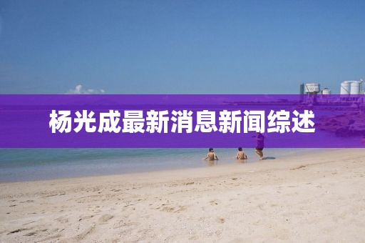楊光成最新消息新聞綜述