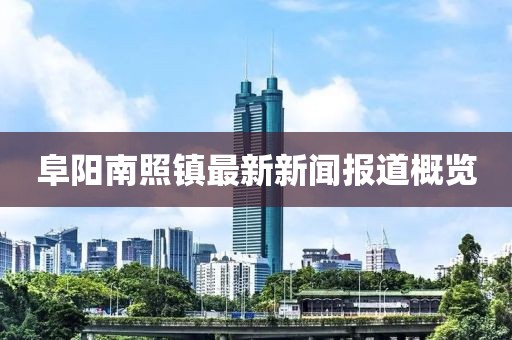 阜陽(yáng)南照鎮(zhèn)最新新聞報(bào)道概覽