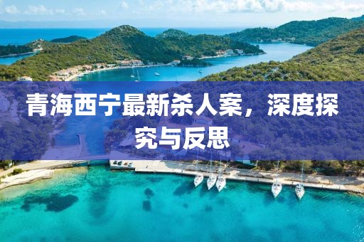 青海西寧最新殺人案，深度探究與反思