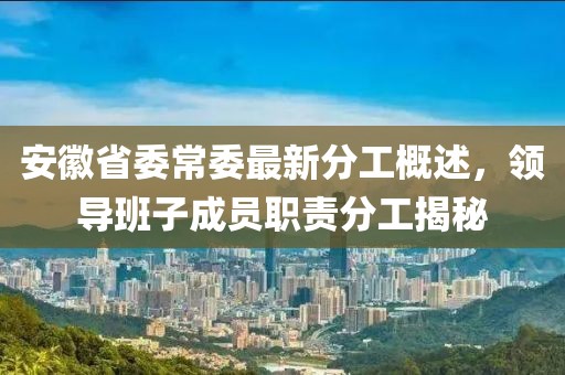安徽省委常委最新分工概述，領(lǐng)導(dǎo)班子成員職責(zé)分工揭秘