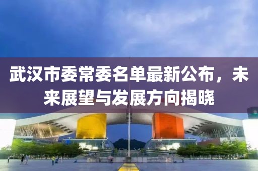 武漢市委常委名單最新公布，未來展望與發(fā)展方向揭曉