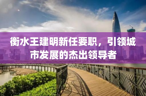 衡水王建明新任要職，引領城市發(fā)展的杰出領導者