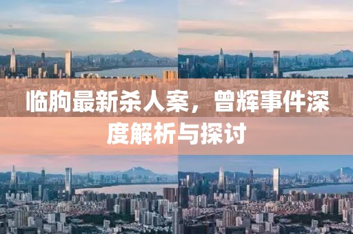 臨朐最新殺人案，曾輝事件深度解析與探討