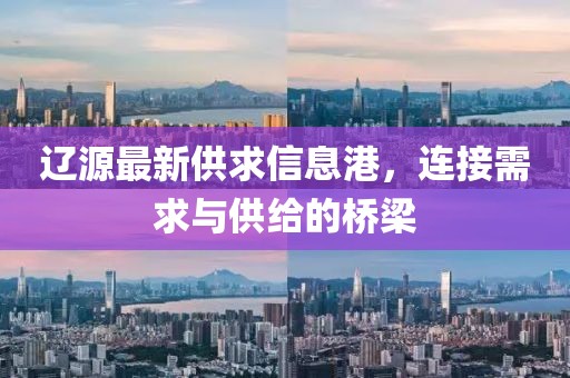 遼源最新供求信息港，連接需求與供給的橋梁