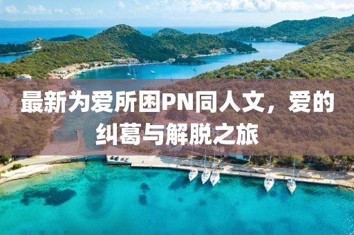 最新為愛所困PN同人文，愛的糾葛與解脫之旅