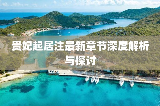 貴妃起居注最新章節(jié)深度解析與探討