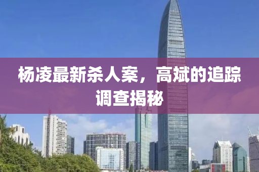 楊凌最新殺人案，高斌的追蹤調(diào)查揭秘