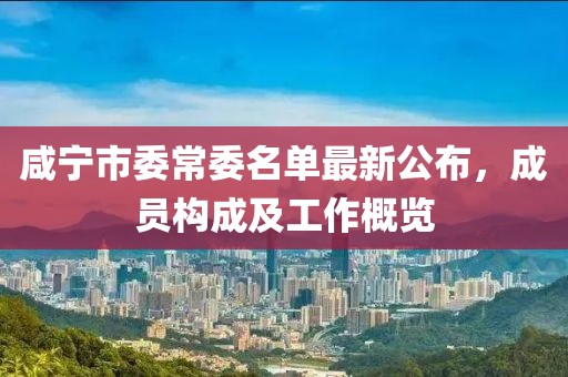咸寧市委常委名單最新公布，成員構(gòu)成及工作概覽
