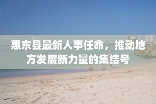 惠東縣最新人事任命，推動(dòng)地方發(fā)展新力量的集結(jié)號(hào)