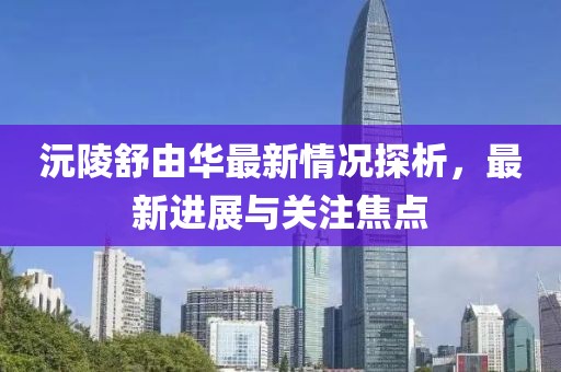 沅陵舒由華最新情況探析，最新進(jìn)展與關(guān)注焦點(diǎn)