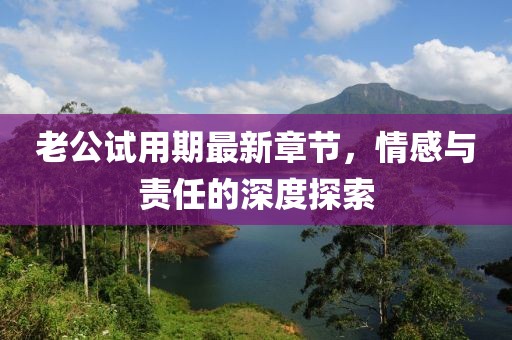 老公試用期最新章節(jié)，情感與責(zé)任的深度探索