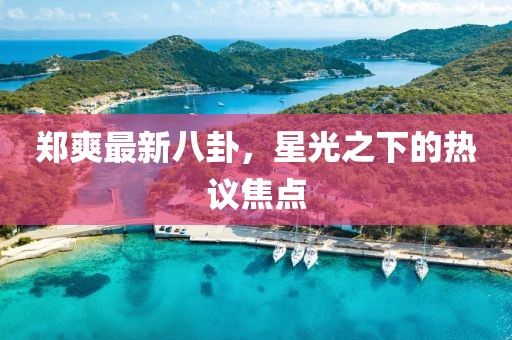 鄭爽最新八卦，星光之下的熱議焦點(diǎn)