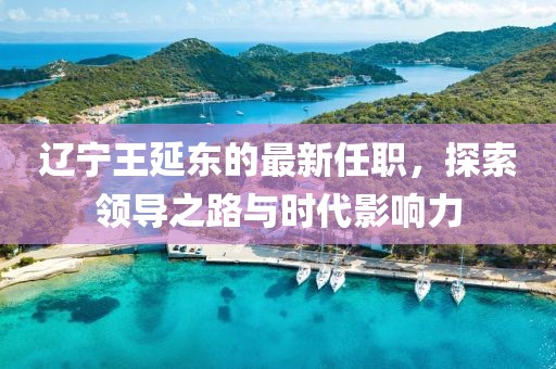 遼寧王延?xùn)|的最新任職，探索領(lǐng)導(dǎo)之路與時(shí)代影響力