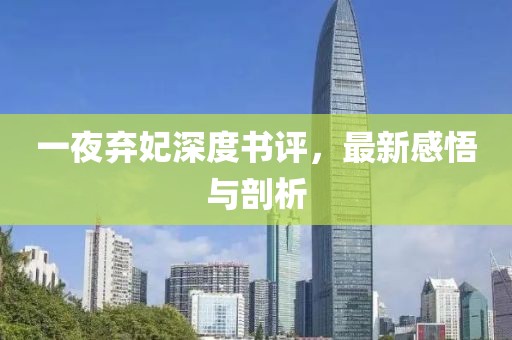 一夜棄妃深度書評(píng)，最新感悟與剖析