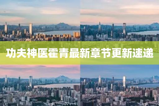 功夫神醫(yī)霍青最新章節(jié)更新速遞