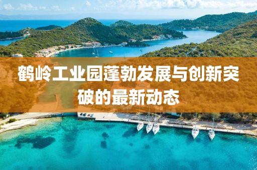 鶴嶺工業(yè)園蓬勃發(fā)展與創(chuàng)新突破的最新動態(tài)