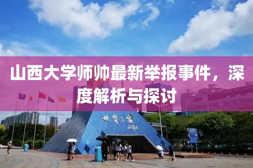 山西大學(xué)師帥最新舉報(bào)事件，深度解析與探討
