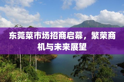 東莞菜市場(chǎng)招商啟幕，繁榮商機(jī)與未來展望