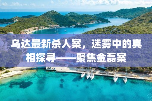 烏達(dá)最新殺人案，迷霧中的真相探尋——聚焦金磊案