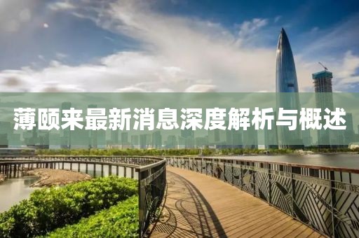 薄頤來最新消息深度解析與概述
