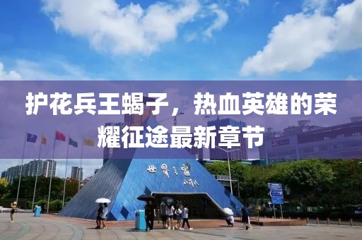護(hù)花兵王蝎子，熱血英雄的榮耀征途最新章節(jié)