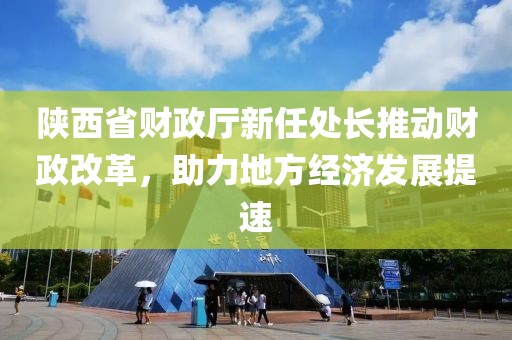陜西省財(cái)政廳新任處長(zhǎng)推動(dòng)財(cái)政改革，助力地方經(jīng)濟(jì)發(fā)展提速