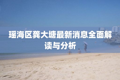 瑤海區(qū)龔大塘最新消息全面解讀與分析